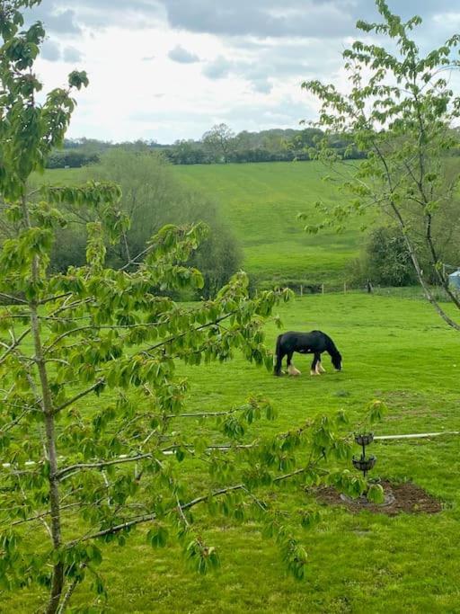 Field View Braunston (Rutland) Exterior foto